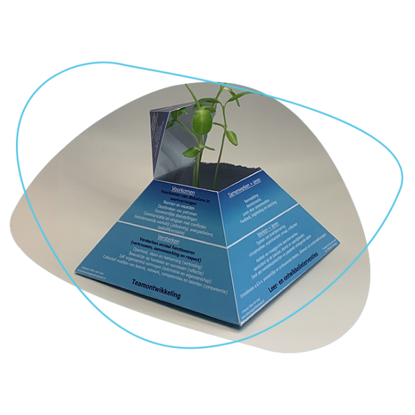 Interventiepiramide AlleKansenBenut!