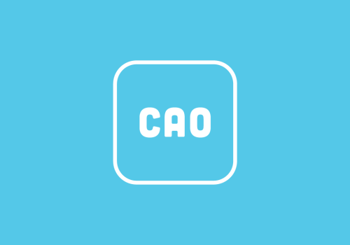 Visual card Cao Jeugdzorg