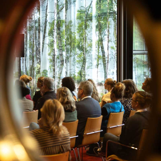 werkgelukformuleSEMH6290