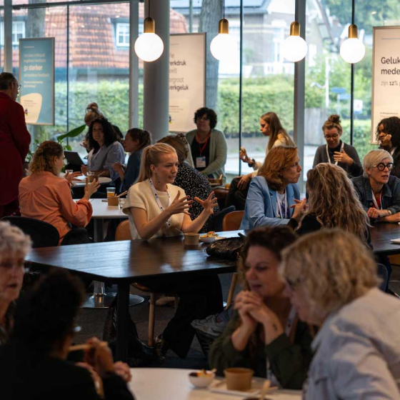 werkgelukformuleSEMH6406