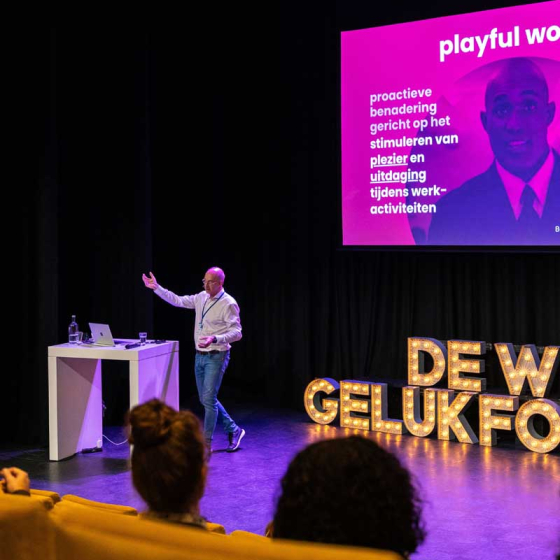 werkgelukformuleSEMH6601