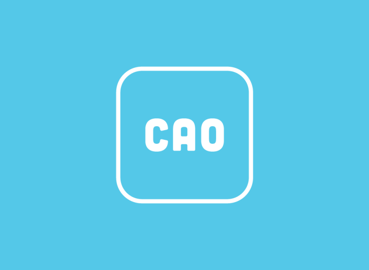 Visual card Cao Jeugdzorg
