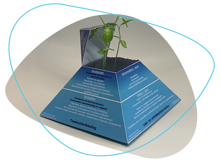 Interventiepiramide AlleKansenBenut!