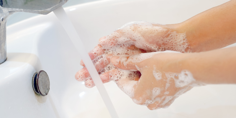 infectieziekten arbocatalogus