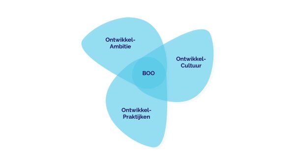 Waaier met de onderdelen van de Bewust Ontwikkelgerichte Organisatie